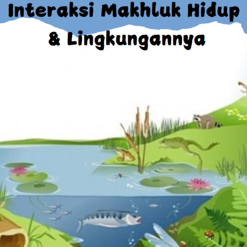 Interaksi Makhluk Hidup & Lingkungannya