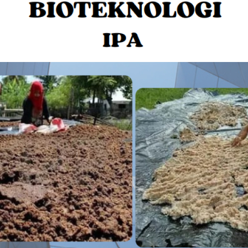 Bioteknologi